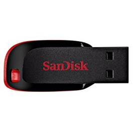 USB Fash Drive SanDisk 4 Gb , USB 2.0 